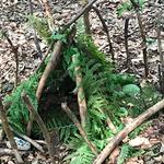 Künstlerwerkstatt @Wald