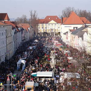 Faschingsumzug