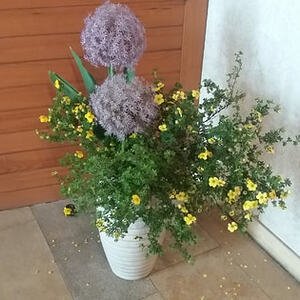 Kirchenschmuck
